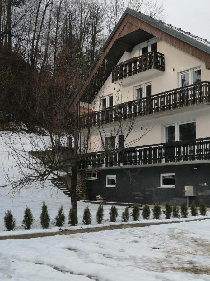 Kasita * Bled